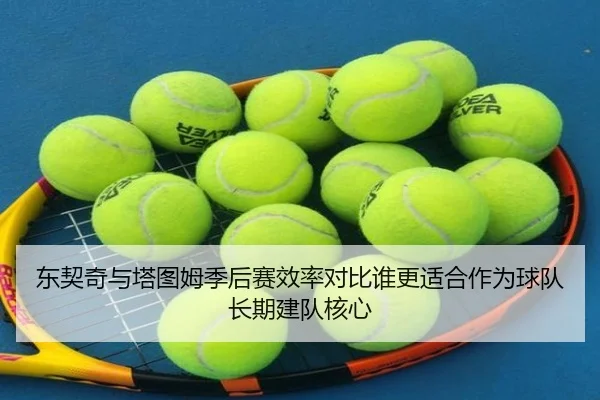 东契奇与塔图姆季后赛效率对比谁更适合作为球队长期建队核心